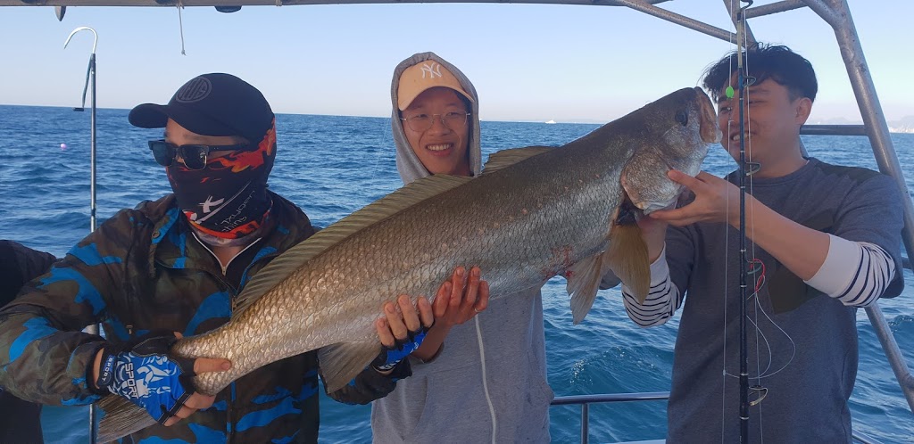 Brisbane fishing charters | Muriel Henchman Dr, Main Beach QLD 4217, Australia | Phone: (07) 5564 1037