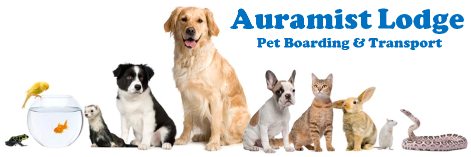Auramist Lodge Dog Boarding And Cattery | 2547 Nelson Bay Rd, Salt Ash NSW 2318, Australia | Phone: (02) 4982 6304