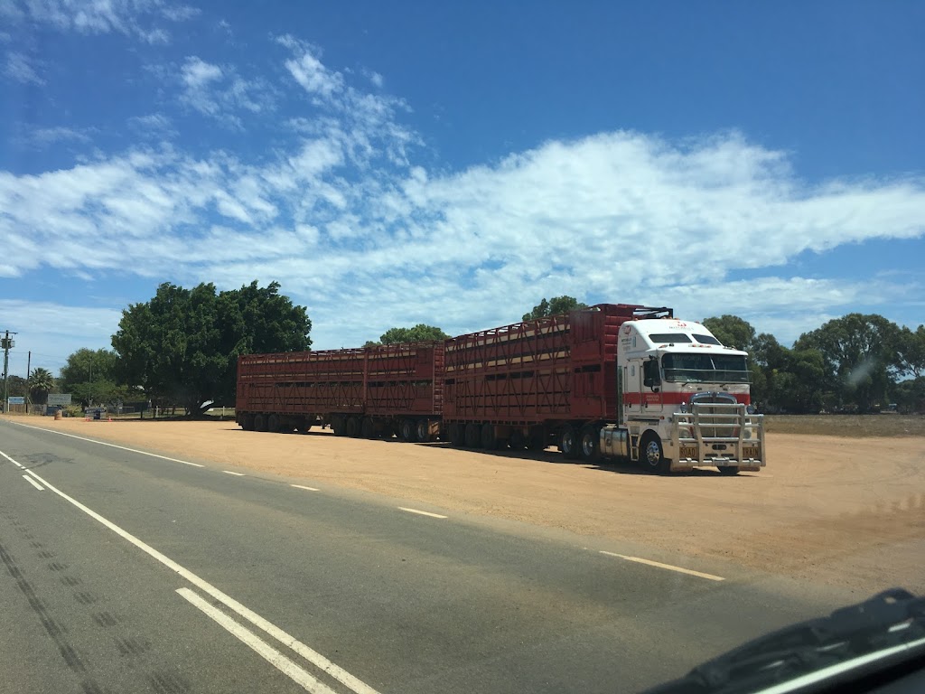 Mitchells Livestock Transport | 443 McNeill Rd, Waroona WA 6215, Australia | Phone: (08) 9733 1246