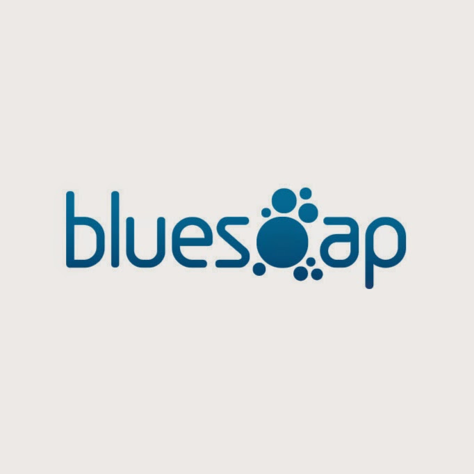 BlueSoap Website Designers | 702/4 Ascot Ave, Zetland NSW 2017, Australia | Phone: 1300 788 567