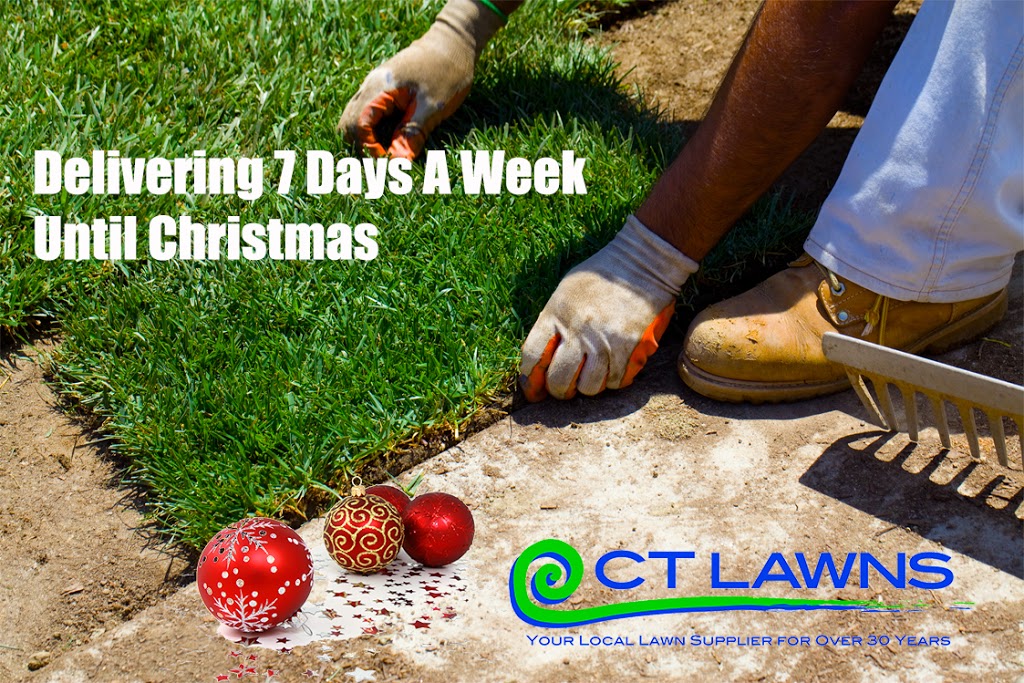 CT Lawns Turf | 21 Ballantyne Ct, Glenview QLD 4553, Australia | Phone: 1800 685 296