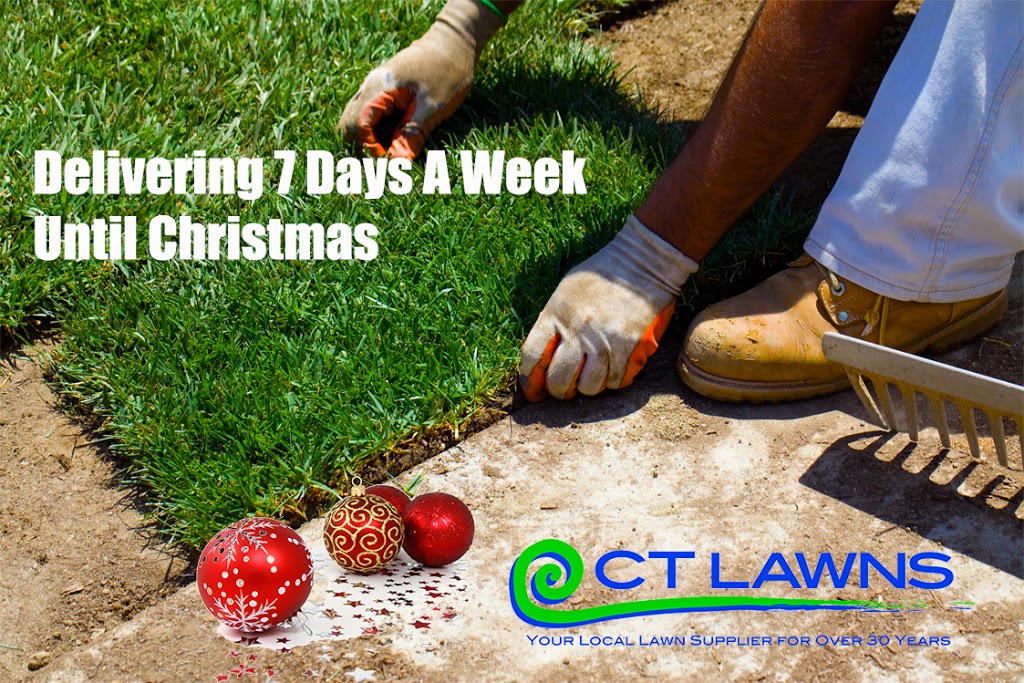 CT Lawns Turf |  | 21 Ballantyne Ct, Glenview QLD 4553, Australia | 1800685296 OR +61 1800 685 296