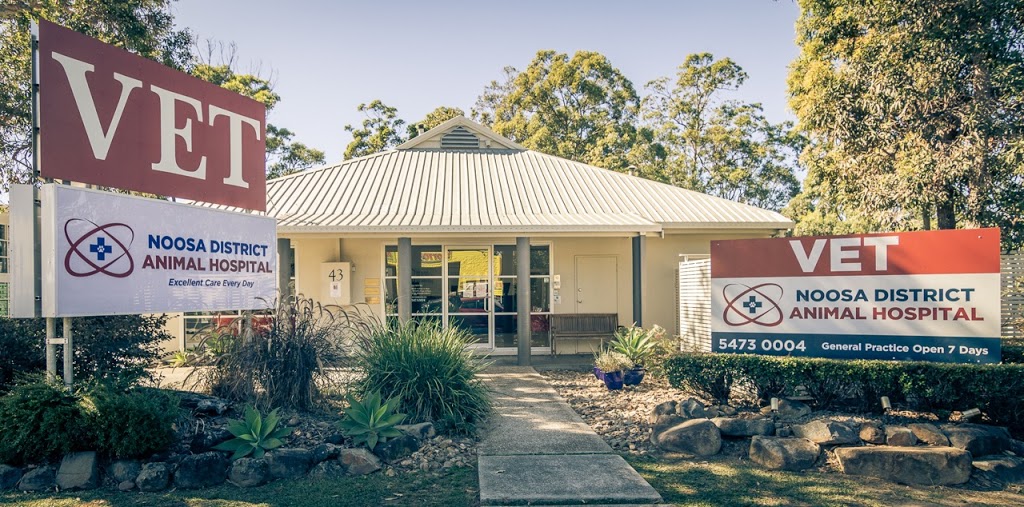 Noosa District Animal Hospital | 43 Rene St, Noosaville QLD 4566, Australia | Phone: (07) 5473 0004