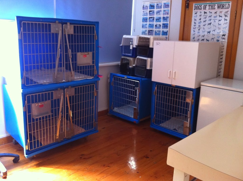 Naracoorte & Penola Veterinary Centres | veterinary care | 42 Church St, Penola SA 5277, Australia | 0887372252 OR +61 8 8737 2252