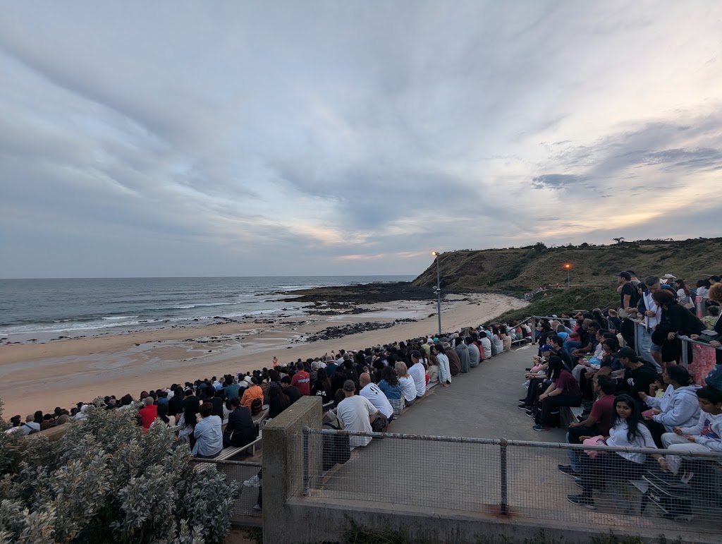 Penguin Premium | 1019 Ventnor Rd, Summerlands VIC 3922, Australia | Phone: (03) 5951 2800
