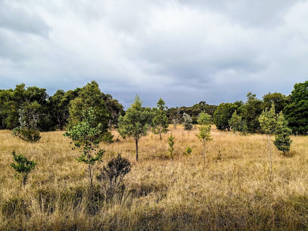 Somers Koala Reserve | park | Somers VIC 3927, Australia