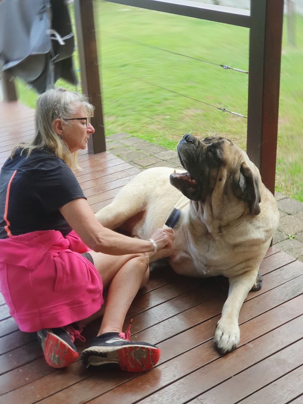 Just like home pet sitters | 4 Yvonne Cres, Bilambil Heights NSW 2486, Australia | Phone: 0431 440 184