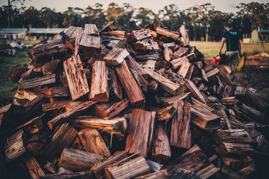 Eden Trees - Tree Removal Logan Brisbane - Arborist | 1322-1334 Chambers Flat Rd, Chambers Flat QLD 4133, Australia | Phone: (07) 5547 0934