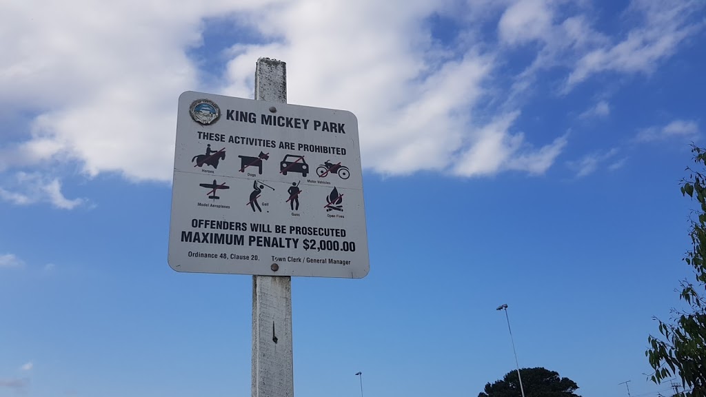 King Mickey Park | park | George St, Warilla NSW 2528, Australia