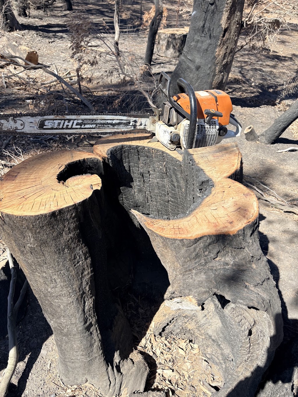 High Plains Tree Care | Steens Rd, Boho South VIC 3669, Australia | Phone: 0467 088 248