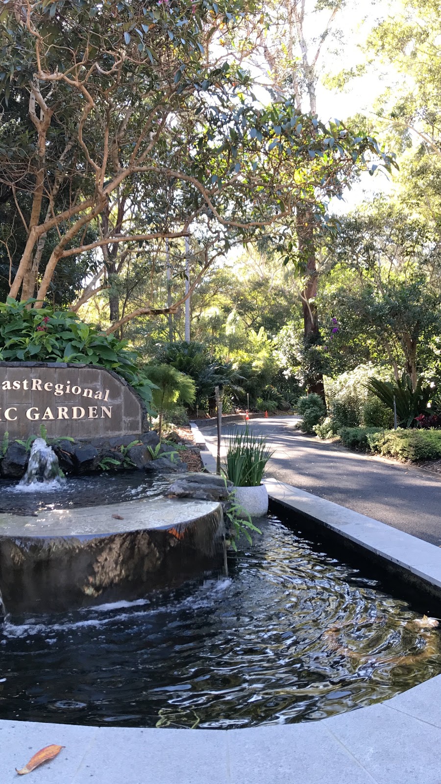 Botanic Gardens Parking | parking | Coffs Harbour NSW 2450, Australia