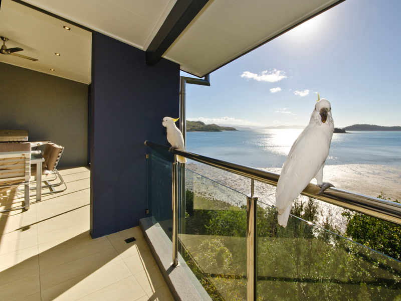 Hamilton Island Holiday Apartments & Luxury Accommodation | 1 Banksia Ct, Whitsundays QLD 4803, Australia | Phone: 1800 135 539