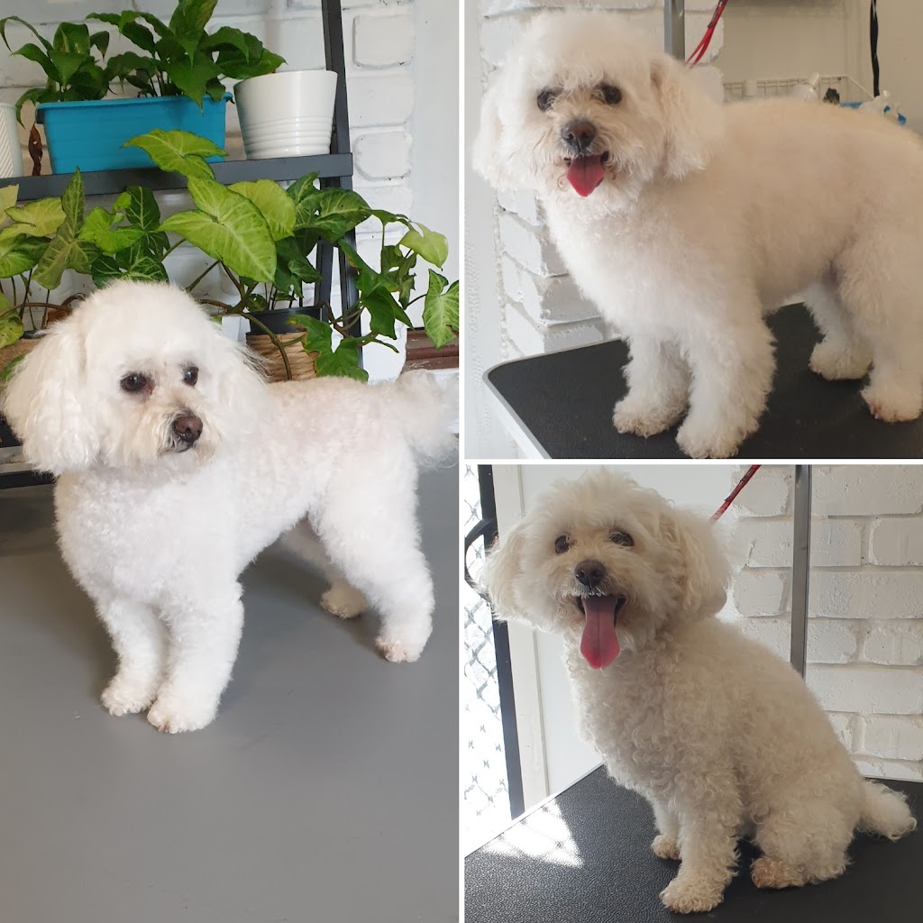 Fancy Paws Grooming Salon | 536-562 Tamborine Mountain Rd, Tamborine QLD 4270, Australia | Phone: 0433 239 727