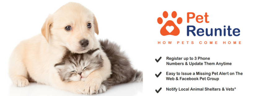 Pet Reunite - Pet Registry - Pet ID Tags - Pet Collars | Unit E/16 - 20 Cassola Pl, Sydney NSW 2750, Australia | Phone: 1300 738 999