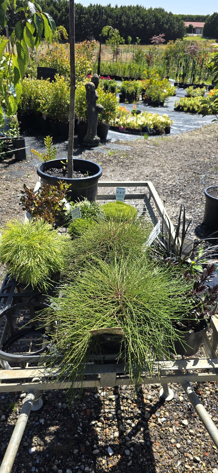 Neth Green | 210 Clyde-Five Ways Rd, Clyde VIC 3978, Australia | Phone: 0430 953 842