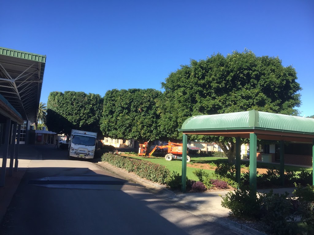 Branch Management Total Tree Services - Newcastle Tree Removal | 121 Dudley Rd, Charlestown NSW 2290, Australia | Phone: 0419 289 223