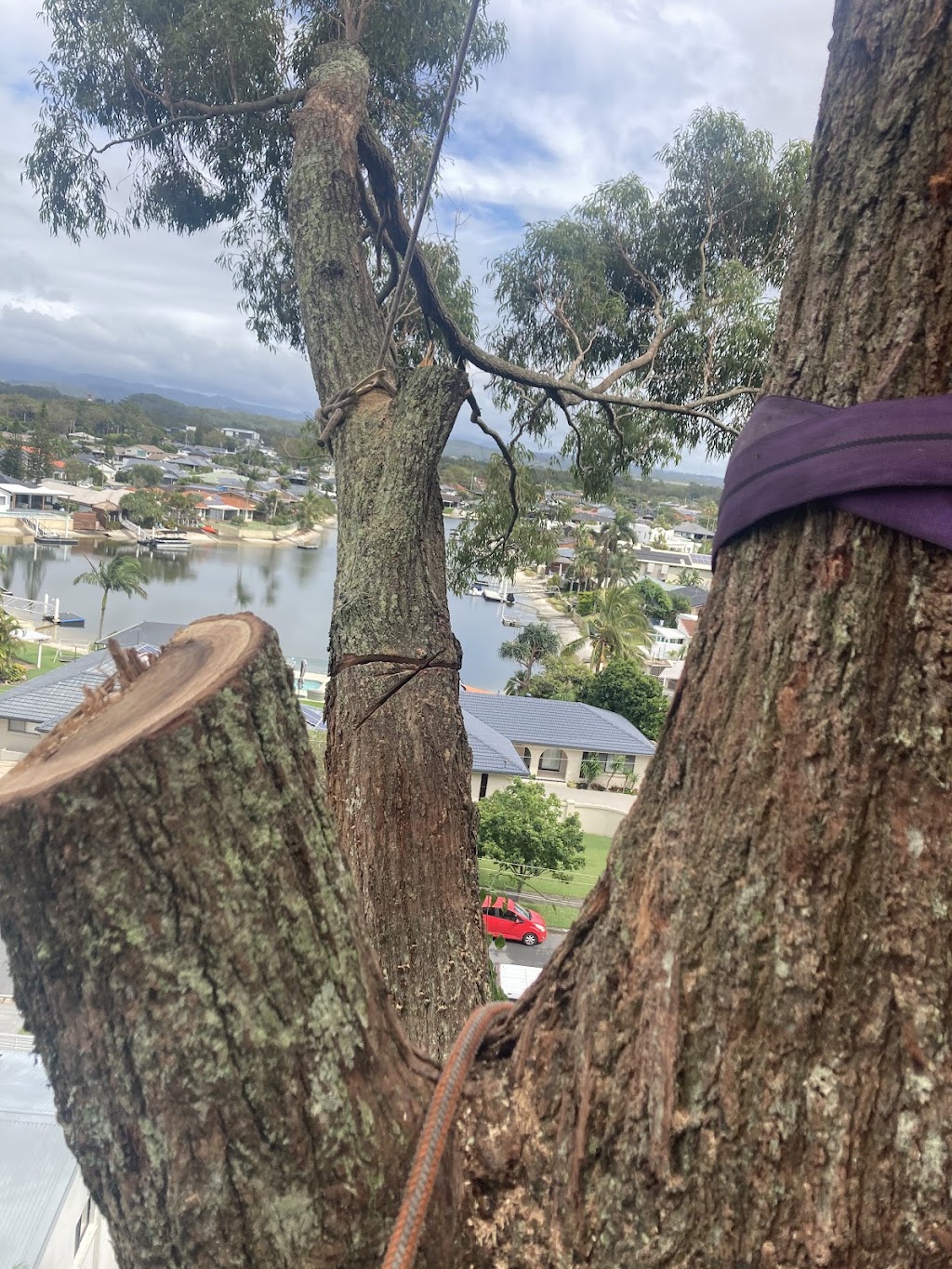 our tree service | 715 King St, Caboolture QLD 4510, Australia | Phone: 0435 445 878