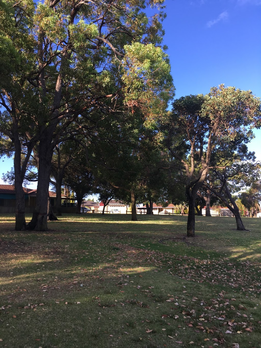 Cedar Court Reserve | park | 21A Teneriffe Pl, Mirrabooka WA 6061, Australia