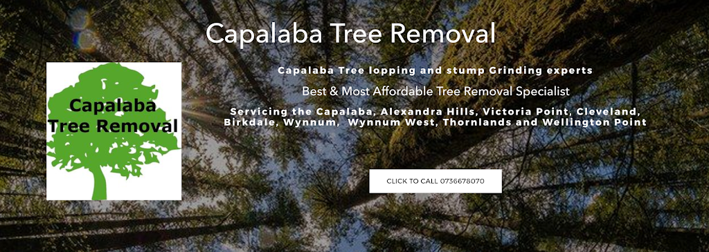 Capalaba Tree Removal | 2929 Old Cleveland Rd, Capalaba QLD 4157, Australia | Phone: (07) 3667 8070