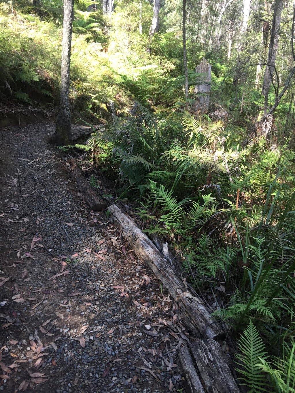 Falls Creek Trail Memorial | park | Falls Creek Memorial Trail, Cabbage Tree Creek VIC 3889, Australia