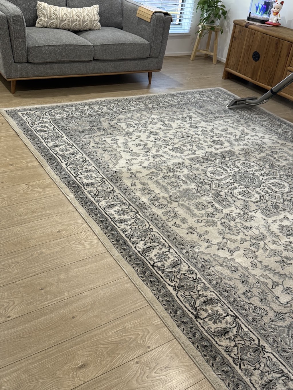 Wow Clean Carpets | Warehouse 7/12 kadak Pl, Breakwater VIC 3219, Australia | Phone: 0418 120 387