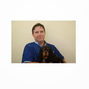 Dr Robert Wilding BVSc (Hons II) | veterinary care | 231 Wallarah Rd, Kanwal NSW 2259, Australia | 0243928822 OR +61 2 4392 8822