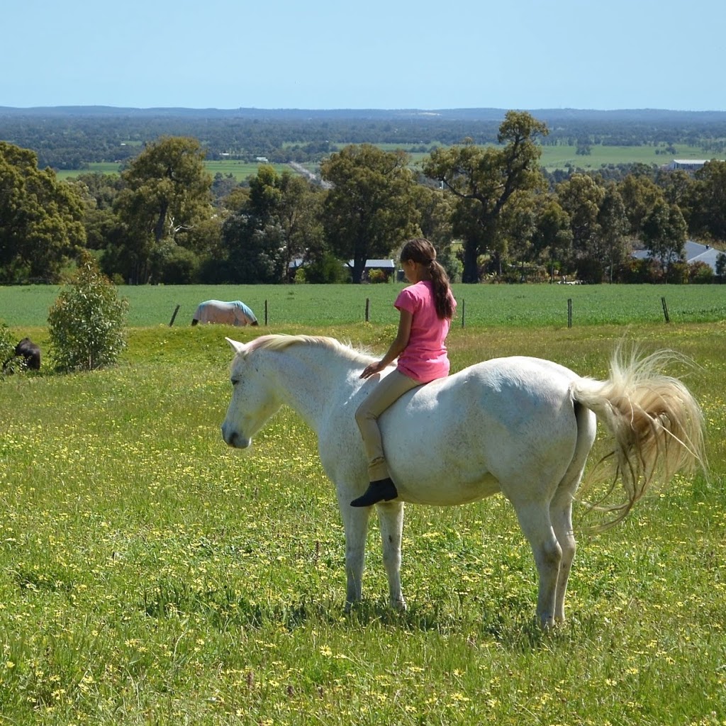 Langford Hill Riding Farm | travel agency | 136 Elliott St, Waroona WA 6215, Australia | 0417911491 OR +61 417 911 491