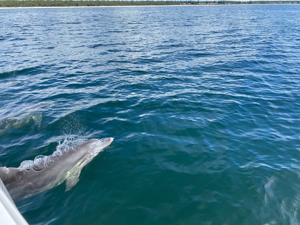 Jervis Bay Catamaran | travel agency | Coulon St, Woollamia NSW 2540, Australia | 0413244915 OR +61 413 244 915