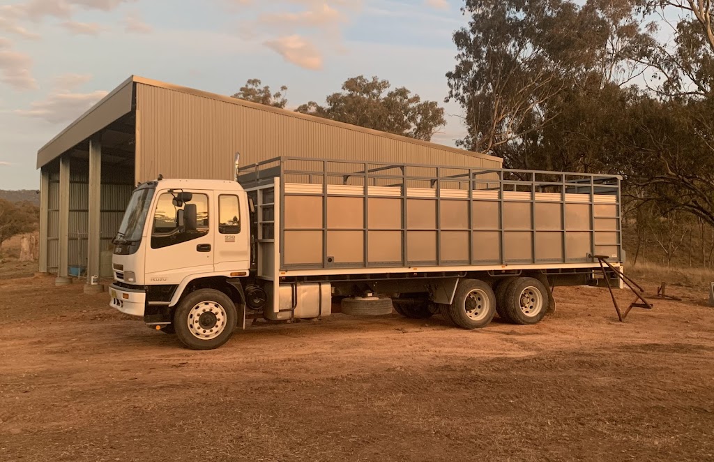 Capertee Valley Livestock Transport | 484 Crown Station Rd, Glen Davis NSW 2846, Australia | Phone: 0414 668 525