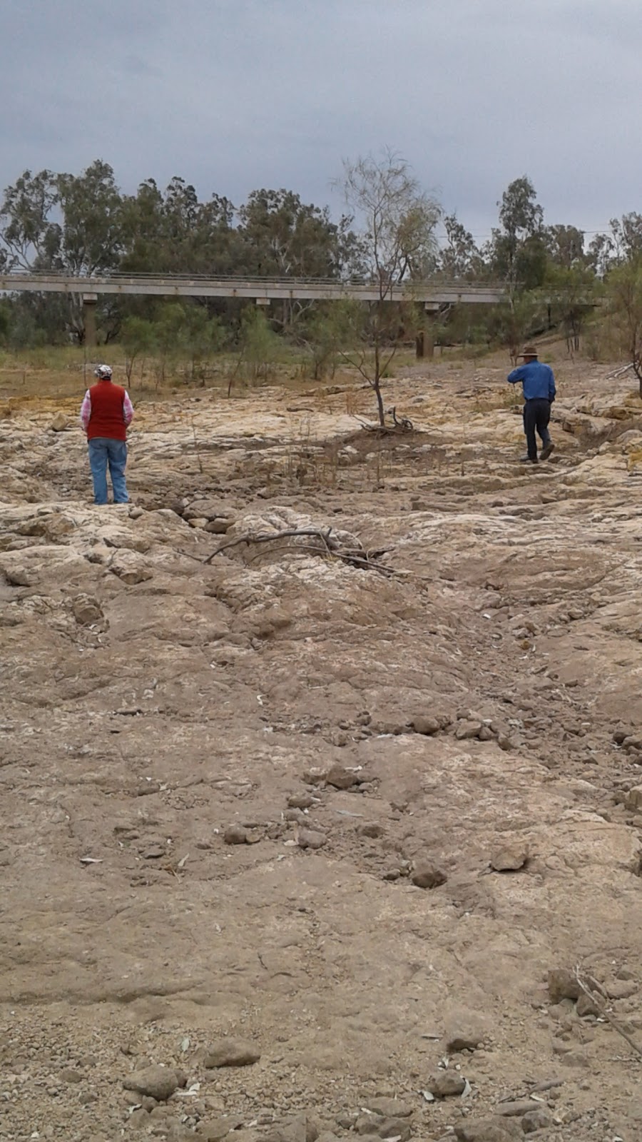 NAMOI RIVER CAMP GROUND. | Baradine-Collarenebri Rd, Pilliga NSW 2388, Australia