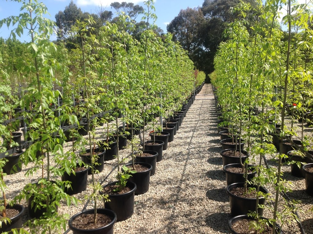 Botanix Plant Supply - Somerville |  | 119 Bungower Rd, Somerville VIC 3912, Australia | 0359777034 OR +61 3 5977 7034