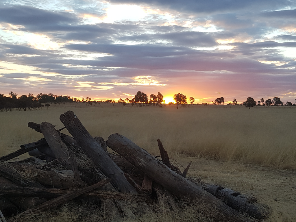 Ups n Downs Caravan Park & Farm Stay | rv park | 78 Hartleys Ln, Orange Hill QLD 4455, Australia | 0407740252 OR +61 407 740 252