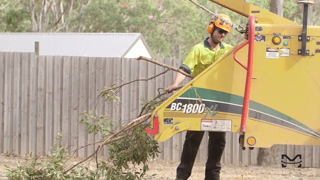 Frontier Tree Services | park | 180 Heslop Rd, Gaven QLD 4211, Australia | 0755744477 OR +61 7 5574 4477