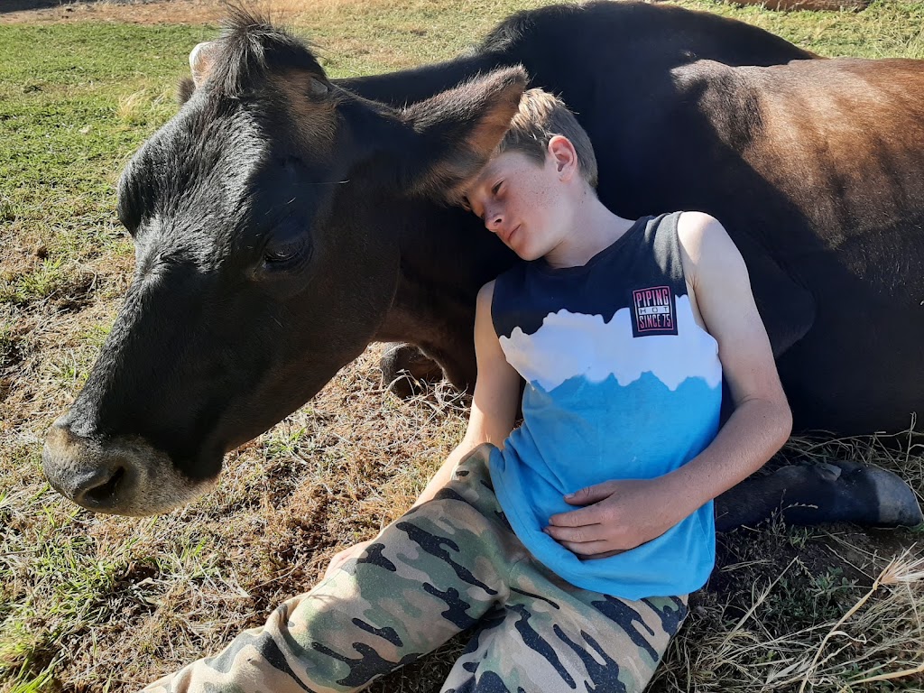 Pleasant Sense Farm | 736 Angas Valley Rd, Mount Pleasant SA 5235, Australia | Phone: 0448 557 329