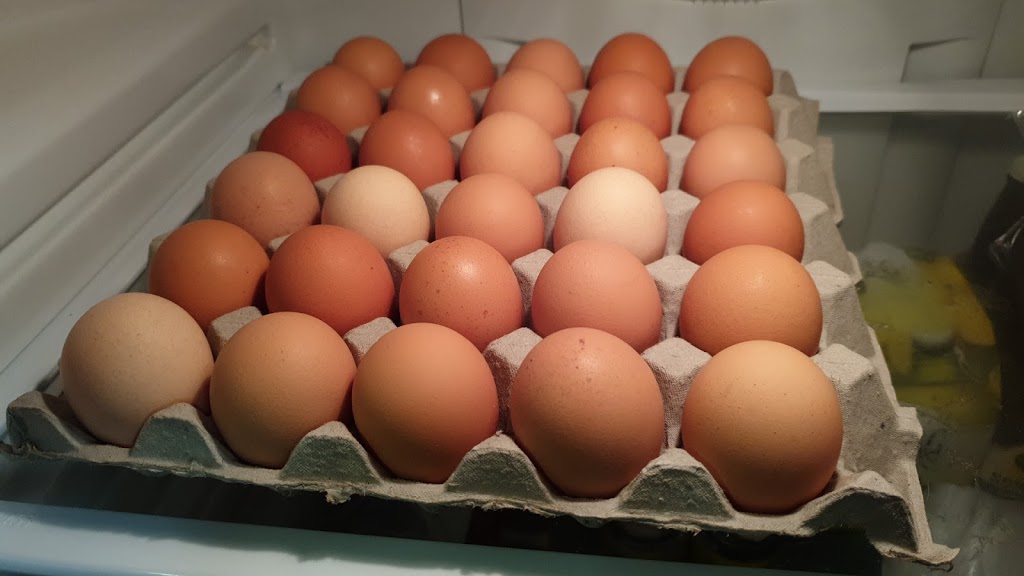 Egg Farm | food | 224-226 Old Dandenong Rd, Heatherton VIC 3202, Australia | 0395511593 OR +61 3 9551 1593