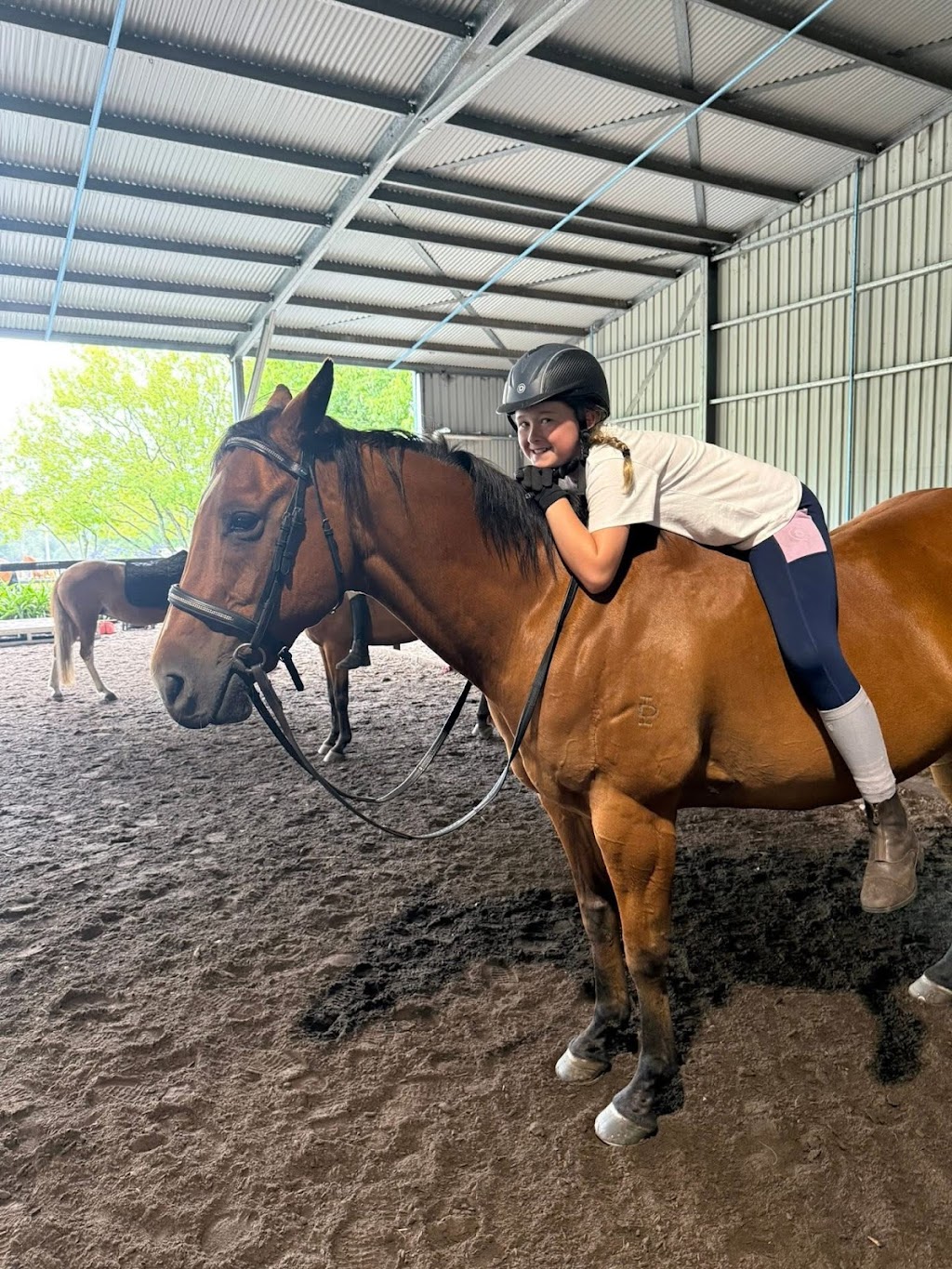 M & L Equestrian | 1171 Nowra Rd, Fitzroy Falls NSW 2577, Australia | Phone: 0402 218 470