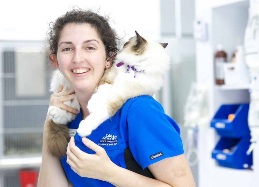 Greater Springfield Veterinary - Augustine Heights Hospital | 1/21 Technology Dr, Augustine Heights QLD 4300, Australia | Phone: (07) 3288 1574