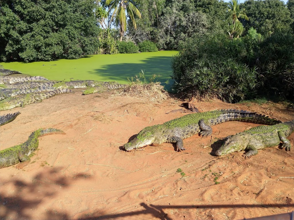 Malcolm Douglas Crocodile Park | Broome Rd, Roebuck WA 6725, Australia | Phone: (08) 9193 6580