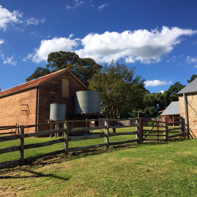 Tocal Agricultural Centre | university | 815 Tocal Rd, Paterson NSW 2421, Australia | 0249398888 OR +61 2 4939 8888