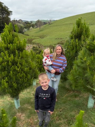Foster Christmas Tree farm | 125 McKnights Rd, Foster North VIC 3960, Australia | Phone: 0425 857 162