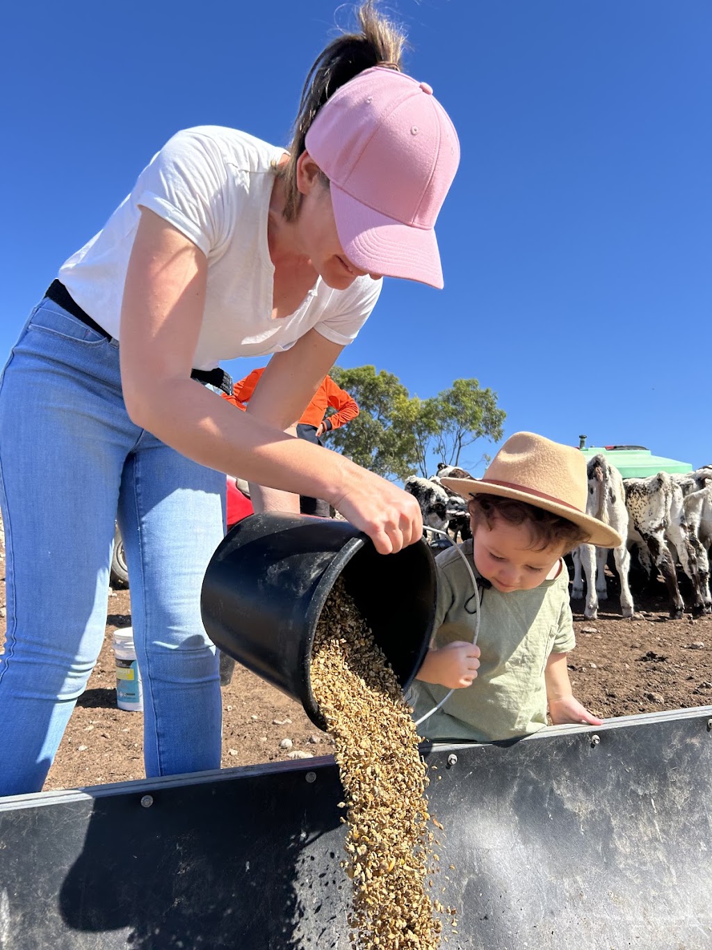 Dairy Adventures | 395 Belvedere Rd, Mannum SA 5238, Australia | Phone: 0499 007 672