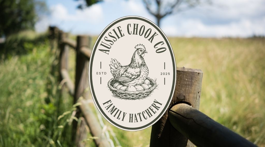 Aussie Chook Co | Dayboro QLD 4521, Australia | Phone: 0419 366 405