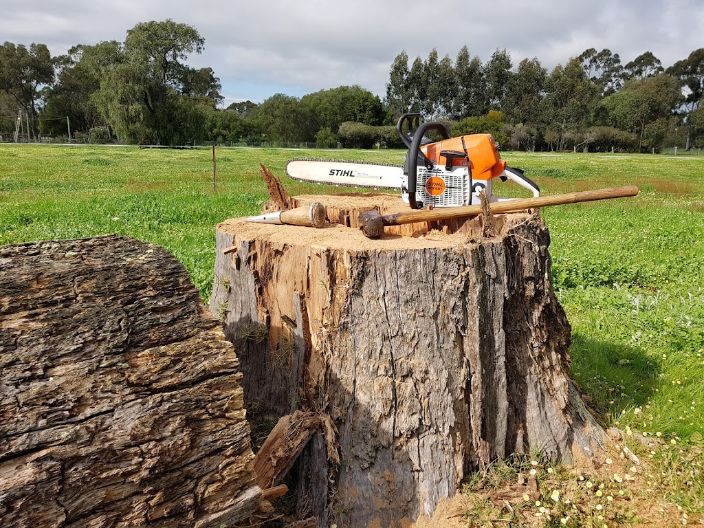 Pro Tree care | John St, Abbey WA 6280, Australia | Phone: 0484 643 150