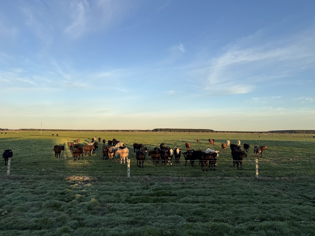 Emerald Springs Livestock Quarantine Facility | 300 Henkes Rd, Mumbannar VIC 3304, Australia | Phone: 0477 516 999