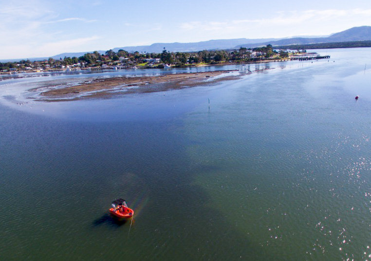 Shoalhaven Boat Hire | 113 Greenwell Point Rd, Greenwell Point NSW 2540, Australia | Phone: 0492 965 784