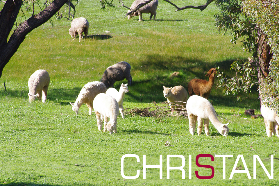 CHRISTAN Farm | 6056 Great Northern Hwy, Bindoon WA 6502, Australia | Phone: 0429 154 500
