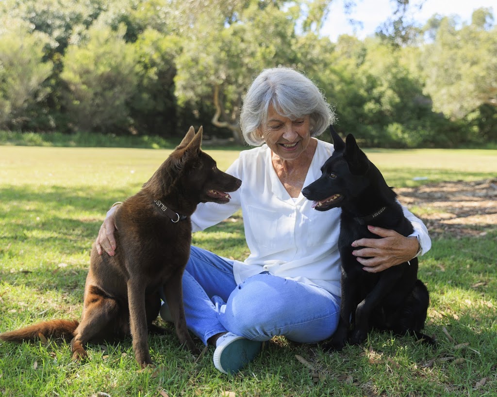 Robin Oliver Pet Dog Training | 27 McCullough St, Cooranbong NSW 2265, Australia | Phone: 0407 253 181