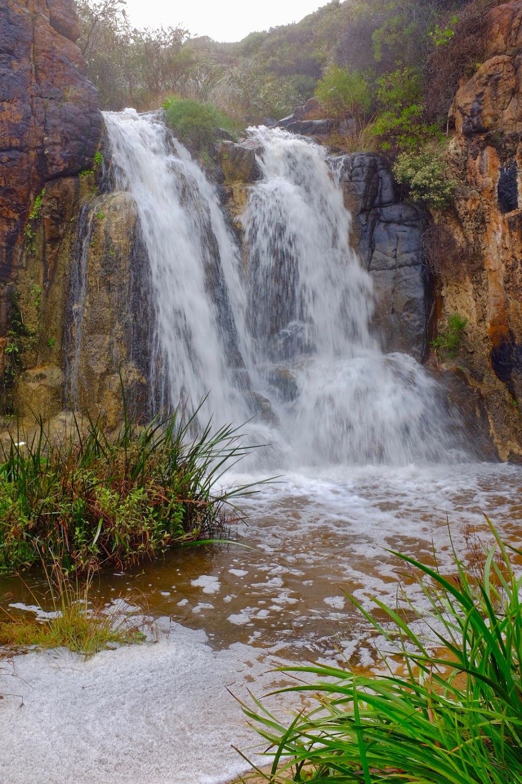 Quinninup Falls | park | Wilyabrup WA 6280, Australia