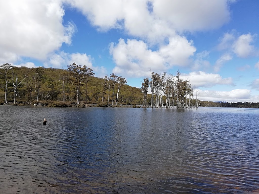 Lake King William Campsite | campground | Derwent Bridge TAS 7140, Australia