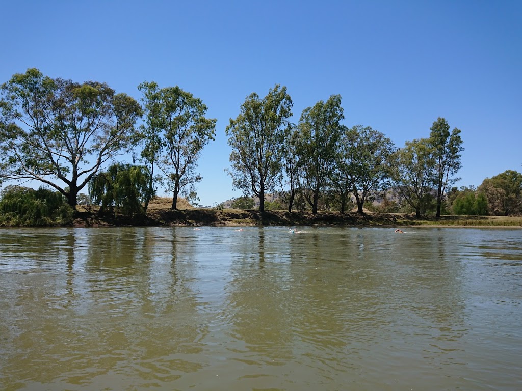 Murray River Canoe Hire | 301 Macauley St, South Albury NSW 2640, Australia | Phone: 0417 691 339